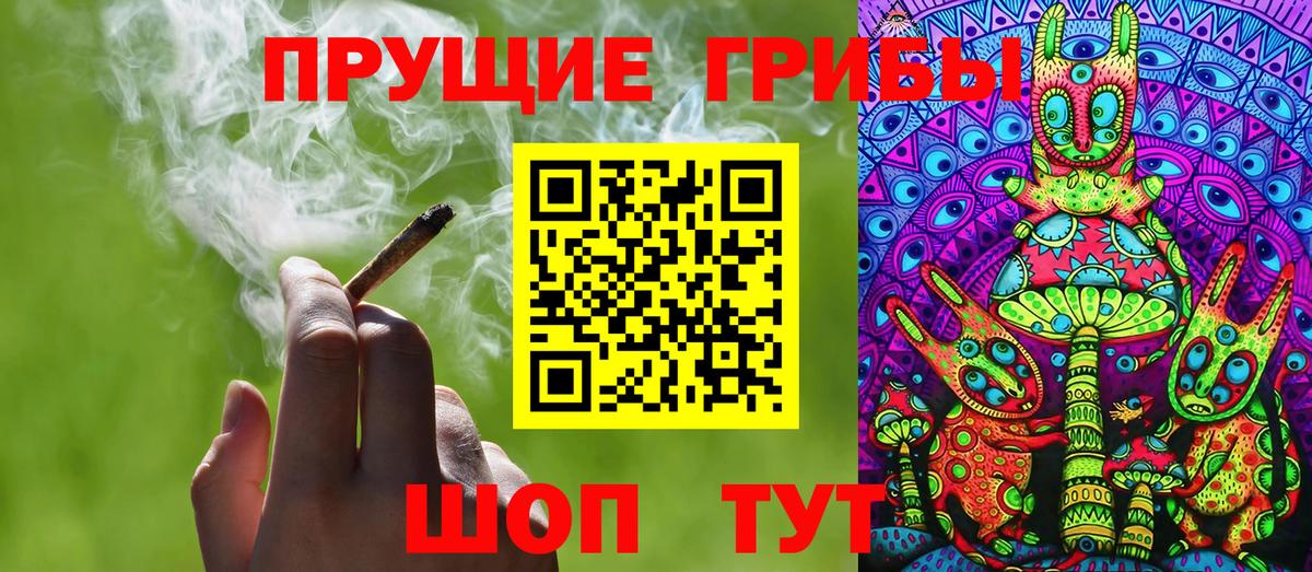 Елизово  Галлюциногенные грибы Magic Shrooms  купить закладку  Вход с VPN 